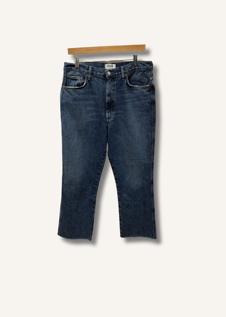Agolde 90's Pinch Waist High Rise Straight Jean