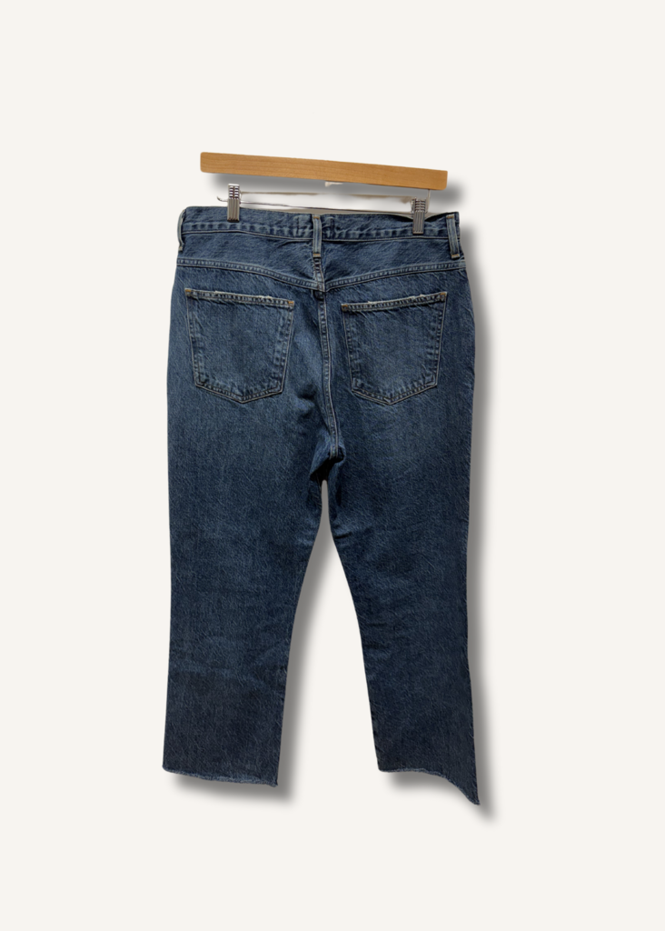 Agolde 90's Pinch Waist High Rise Straight Jean