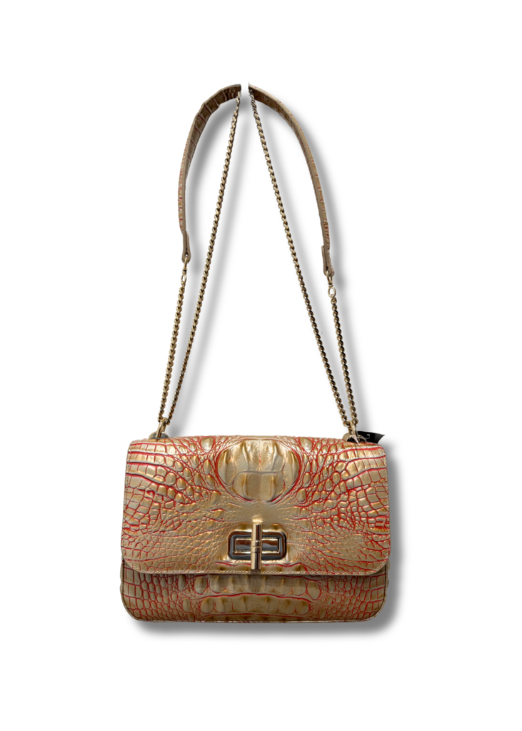 Brahmin Bag