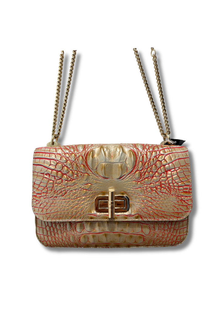 Brahmin Bag