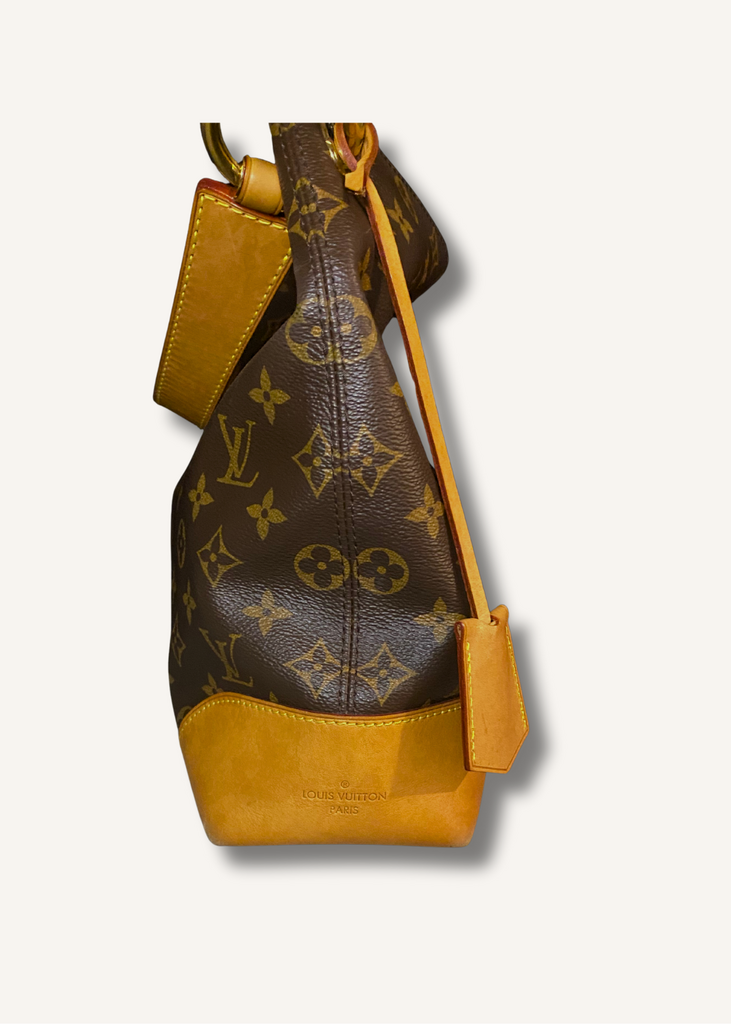 Louis Vuitton Brown Monogram Berri MM Bag
