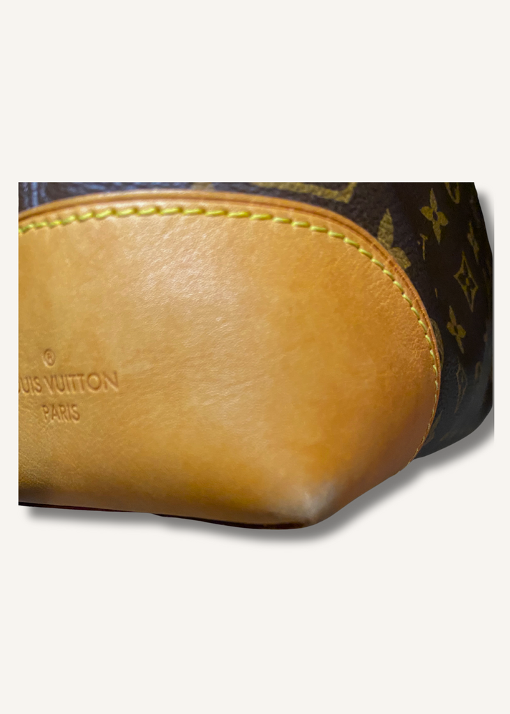 Louis Vuitton Brown Monogram Berri MM Bag