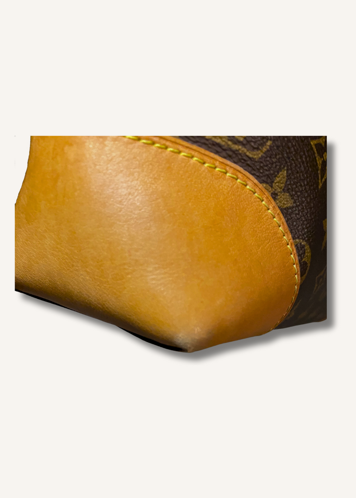 Louis Vuitton Brown Monogram Berri MM Bag