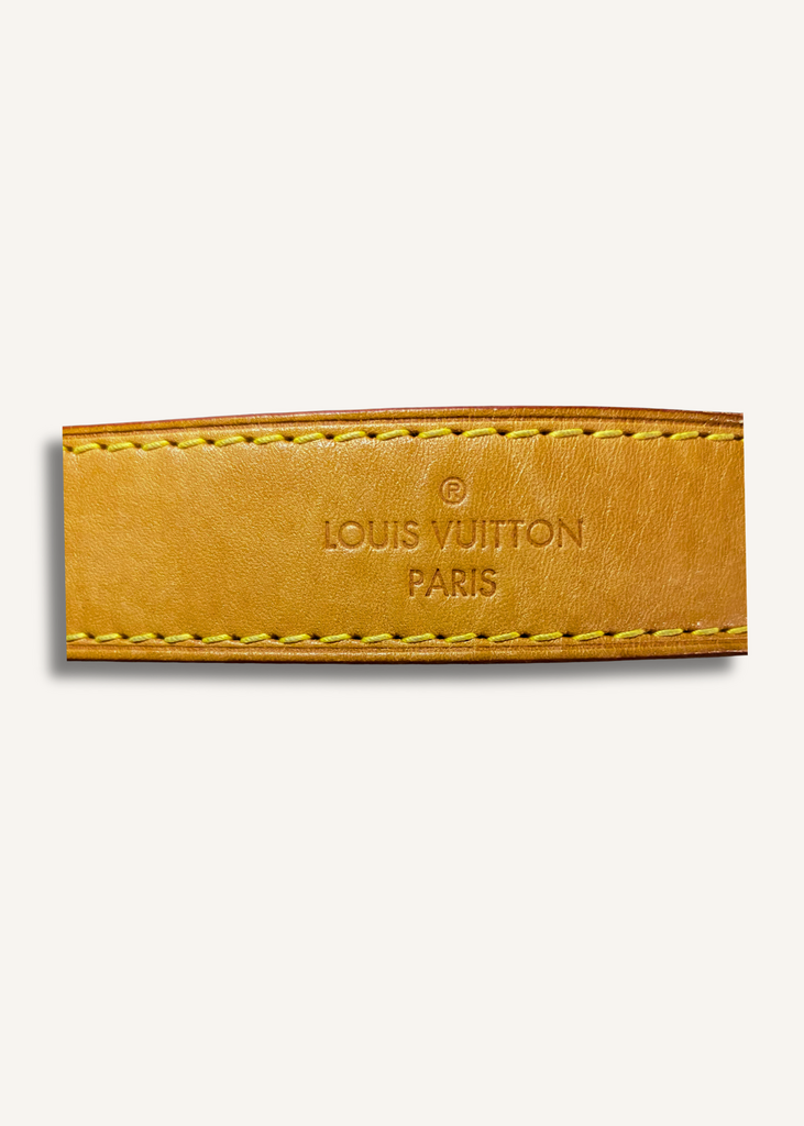 Louis Vuitton Brown Monogram Berri MM Bag