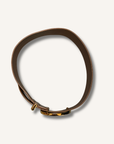 Isabel Marant Brown and Gold Belt