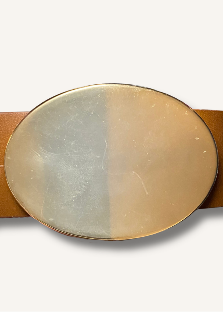 Isabel Marant Brown and Gold Belt