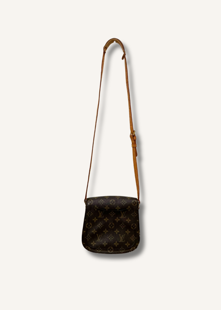 Louis Vuitton Saint Cloud Crossbody Bag