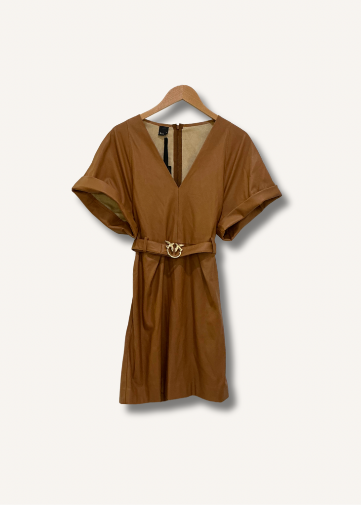 Pinko Vicky Abito Dress