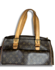 Louis Vuitton Multipli-cite Bag