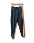 Aviator Nation 5-Stripe Sweatpants