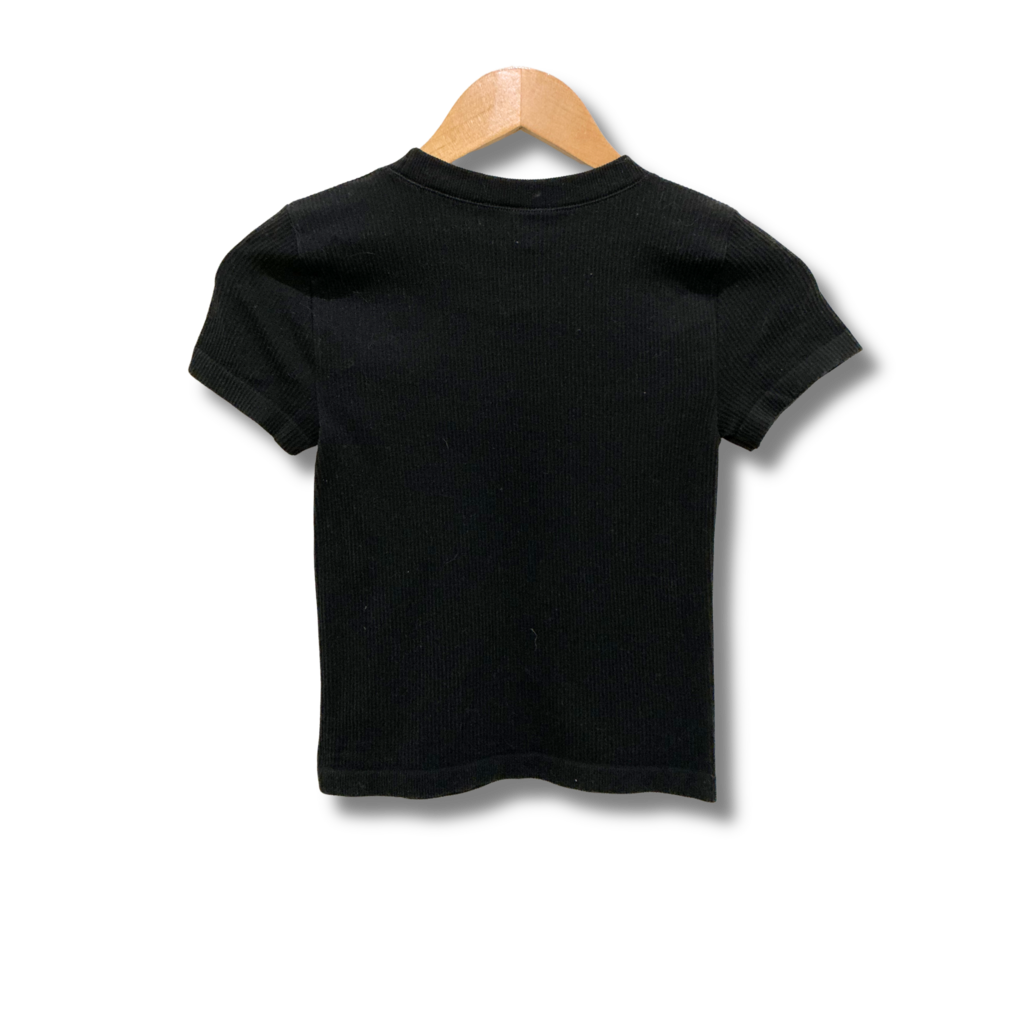 Aritzia Top