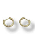 Huggie Hoops Earrings