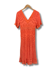 Farm Rio X Anthropologie Devore Dress