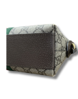Gucci Ophidia Crossbody Bag