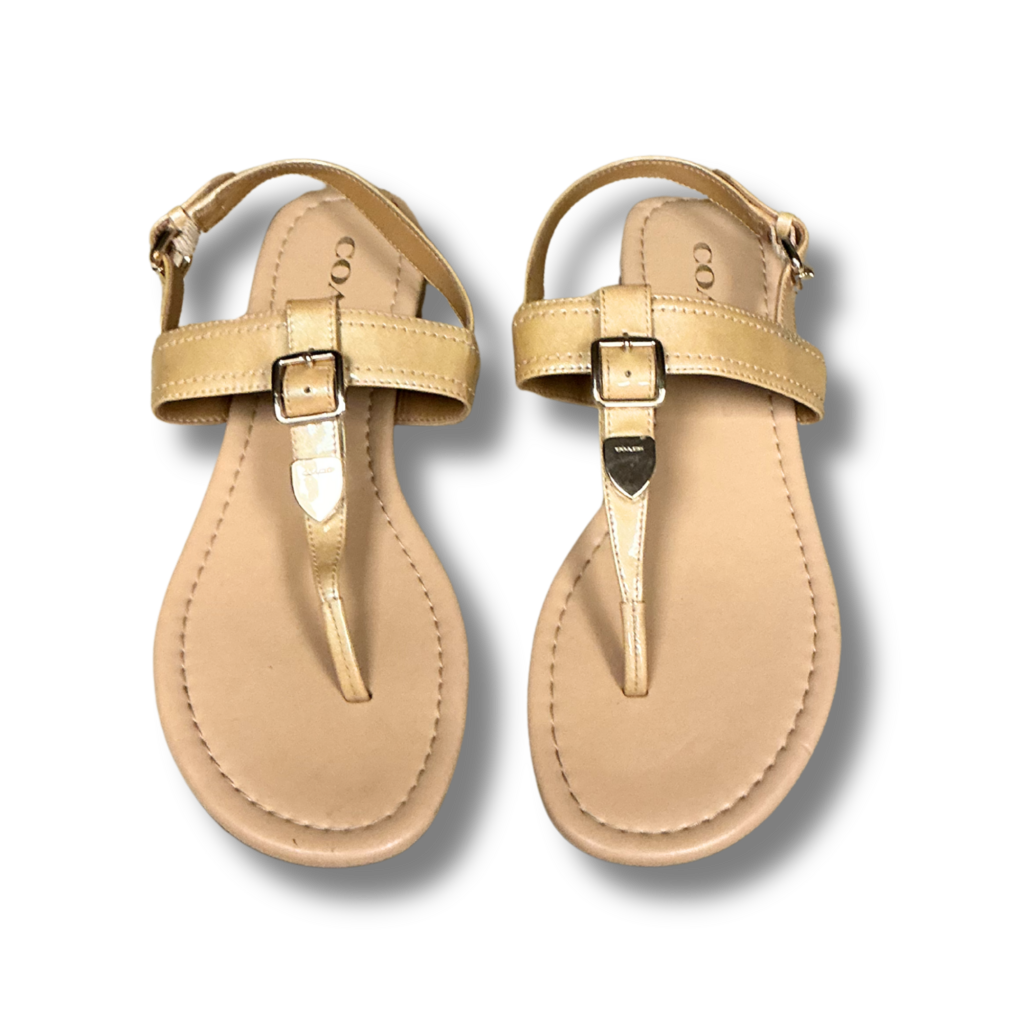 Coach Sandals