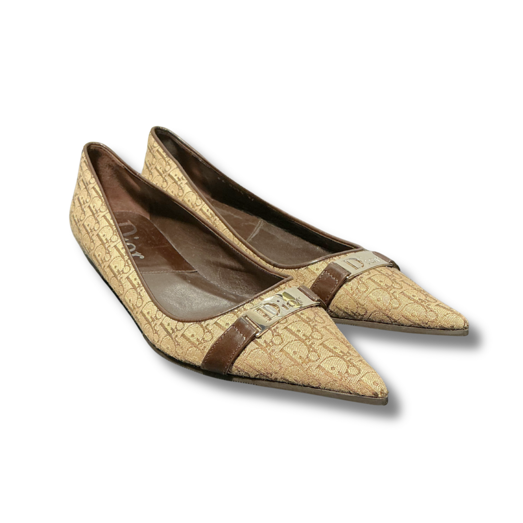 dior Ballet Flats