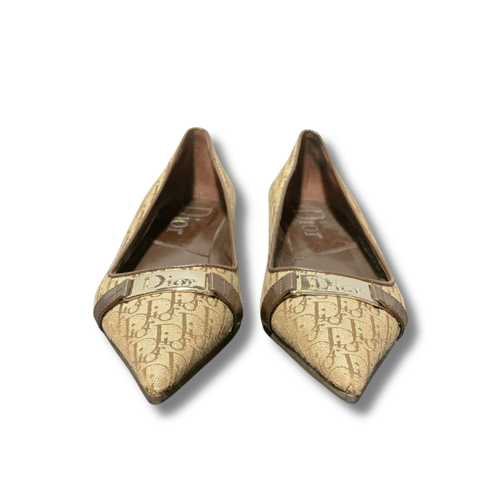 dior Ballet Flats