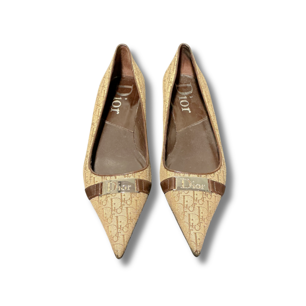 dior Ballet Flats
