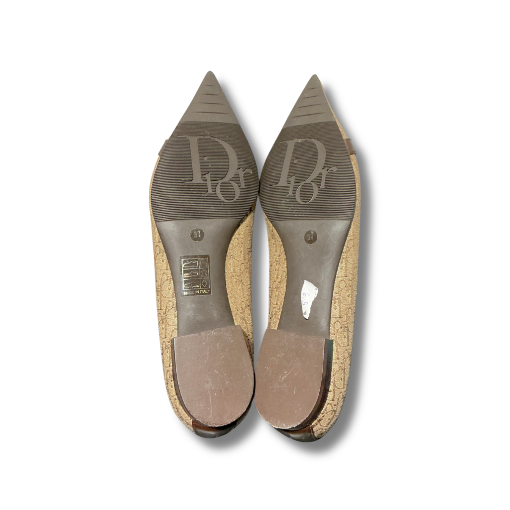 dior Ballet Flats