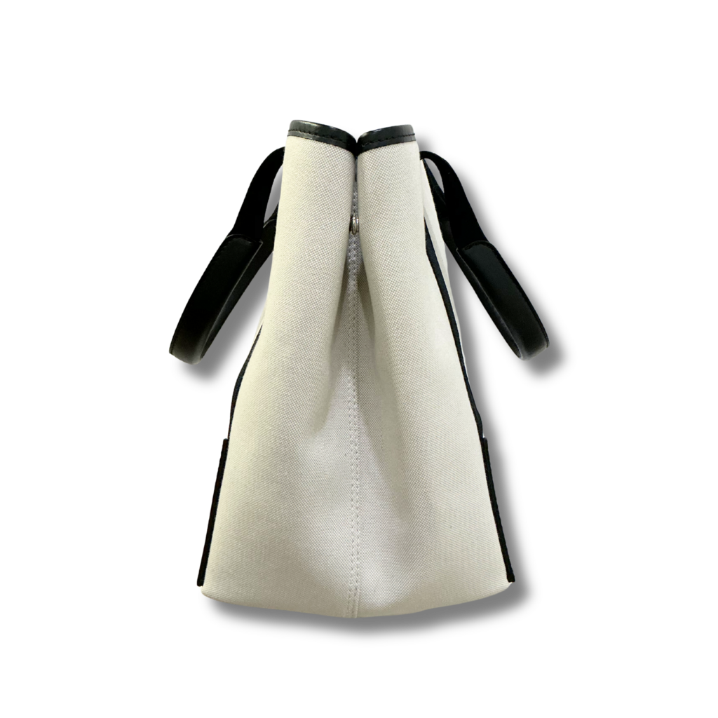 Balenciaga Cabas Medium Tote Bag