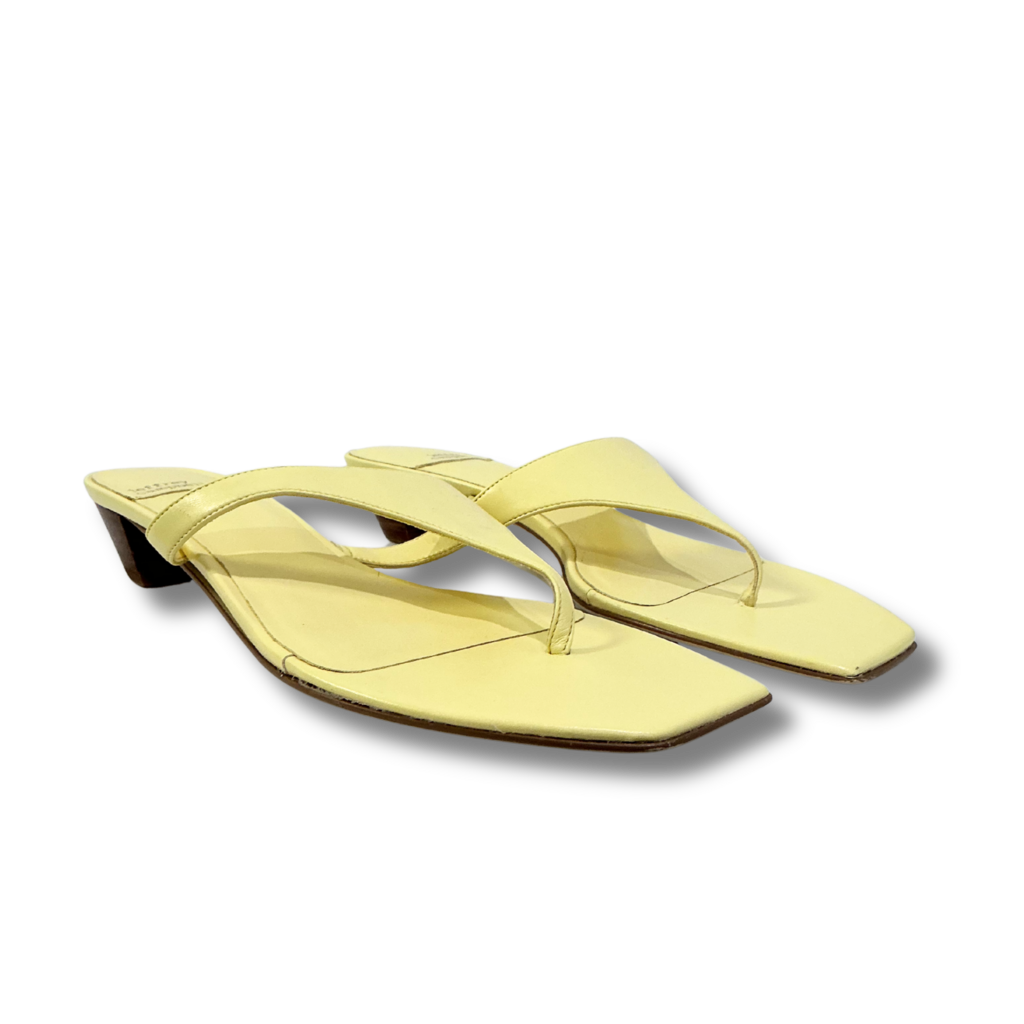 Jeffrey Campbell Kitten Heel Flip Flops