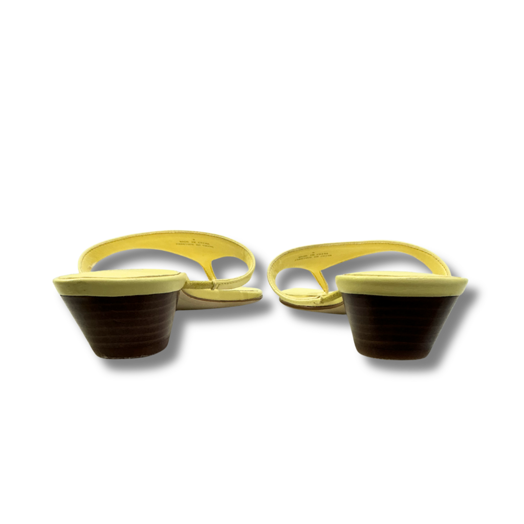 Jeffrey Campbell Kitten Heel Flip Flops