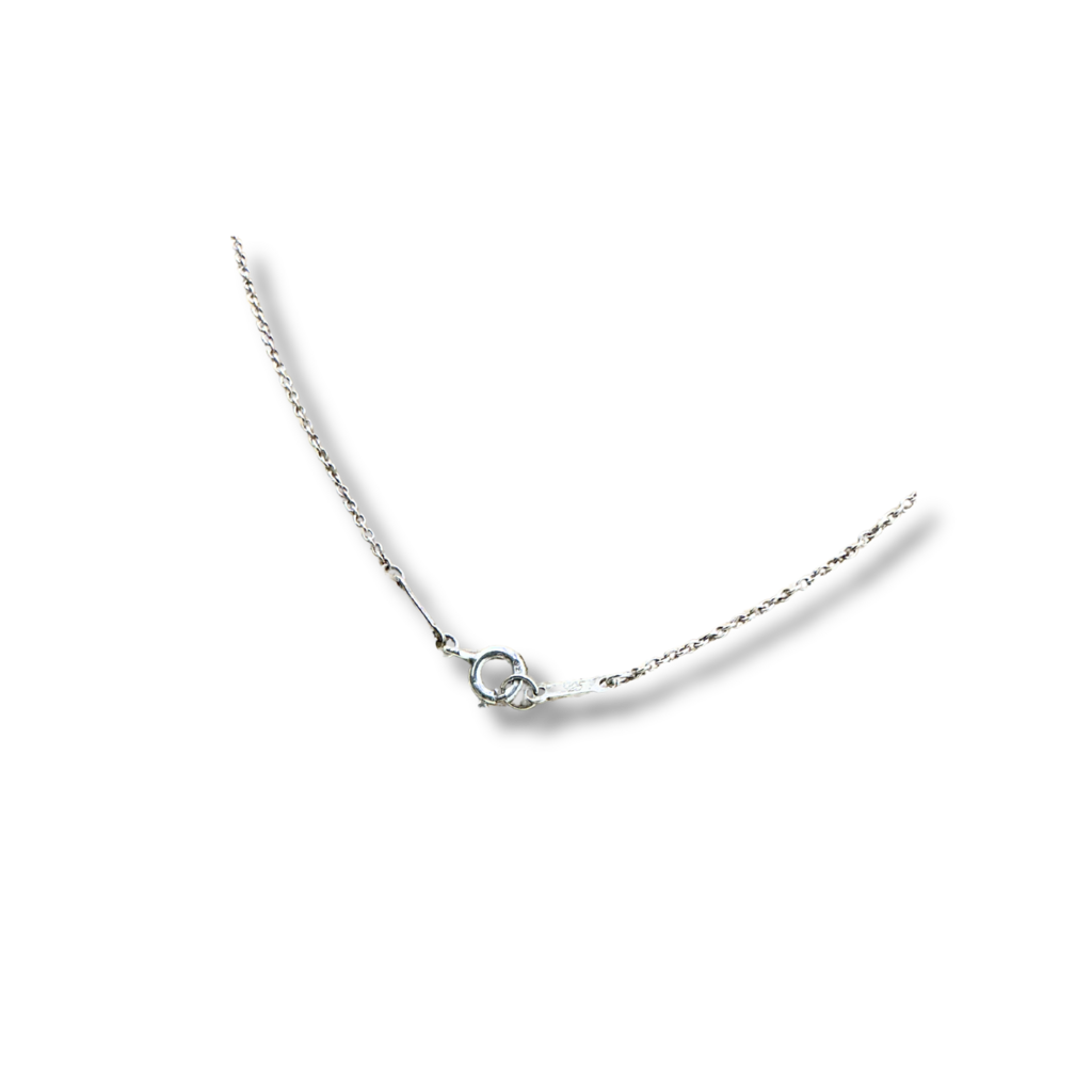 Tiffany &amp; co x Peretti Eternal Circle Pendant Necklace