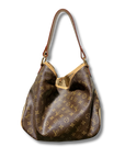 Louis Vuitton Delightful Bag