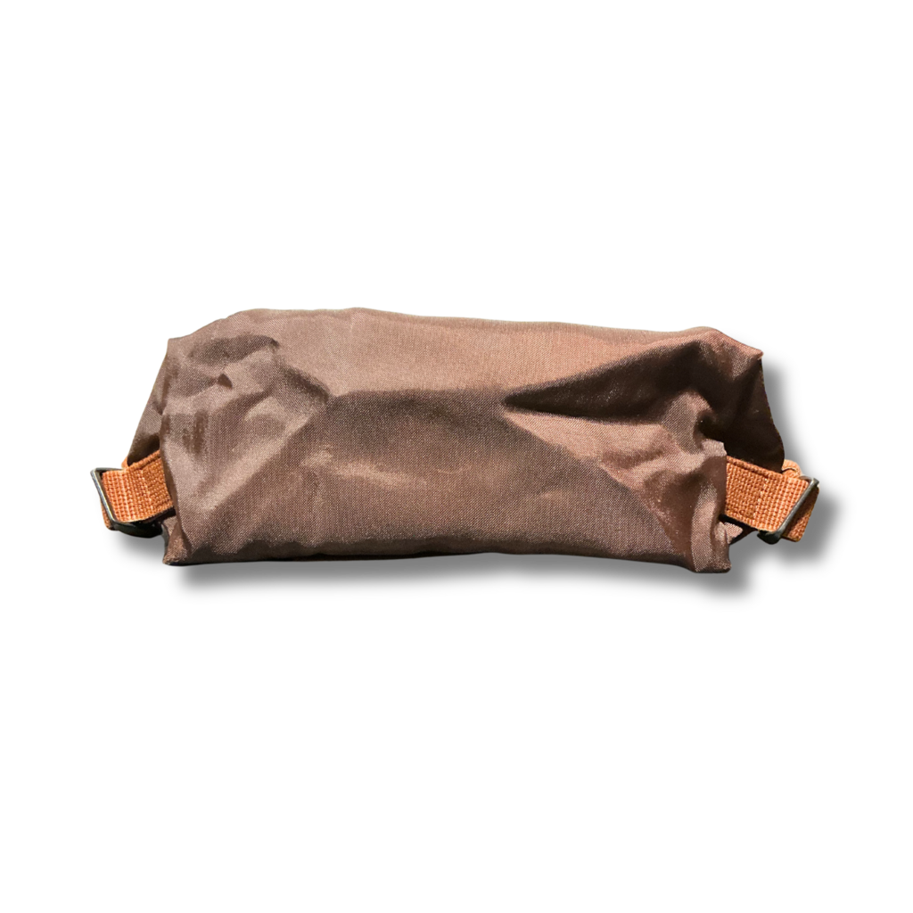 Longchamp Le Pliage backpack