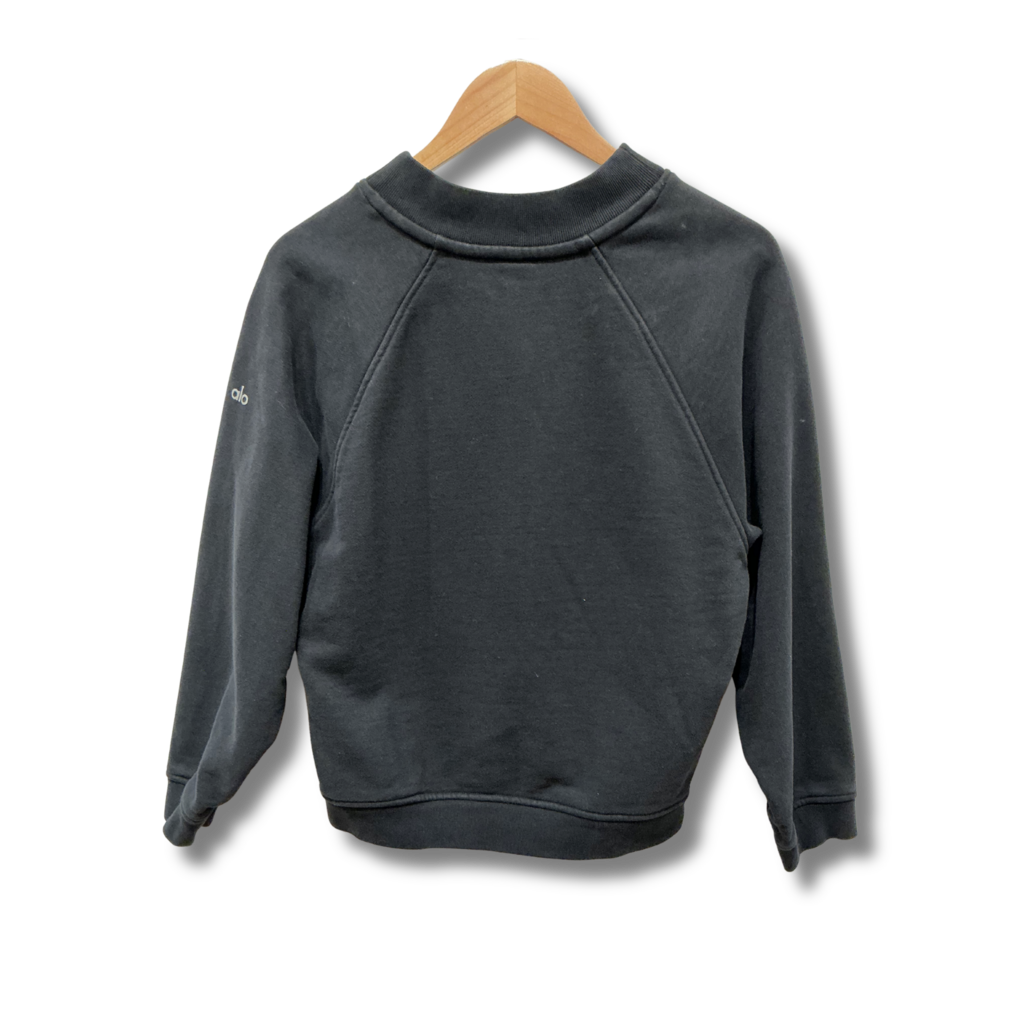 alo Yoga Heavy Weight Freetime Crewneck Pullover