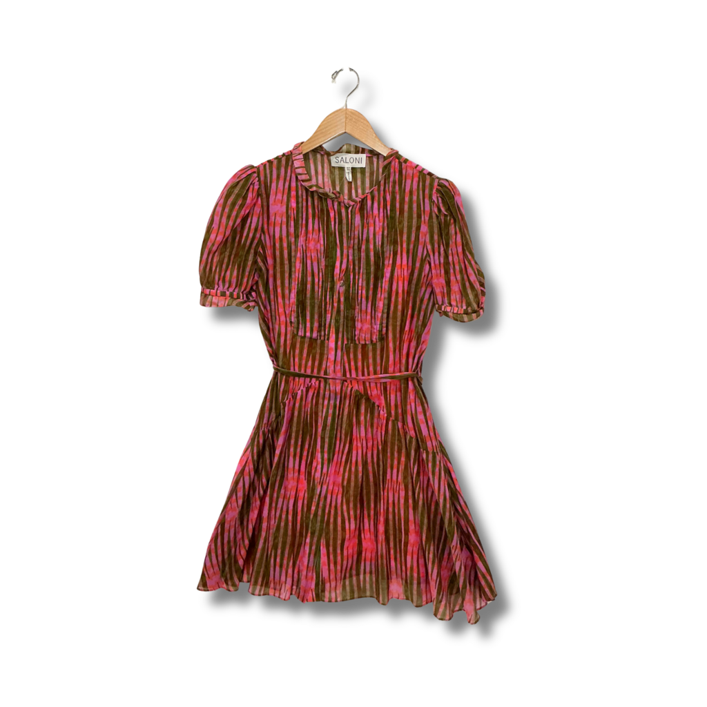 Saloni Dress with slip