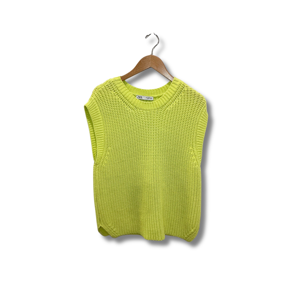 Zara Knit top