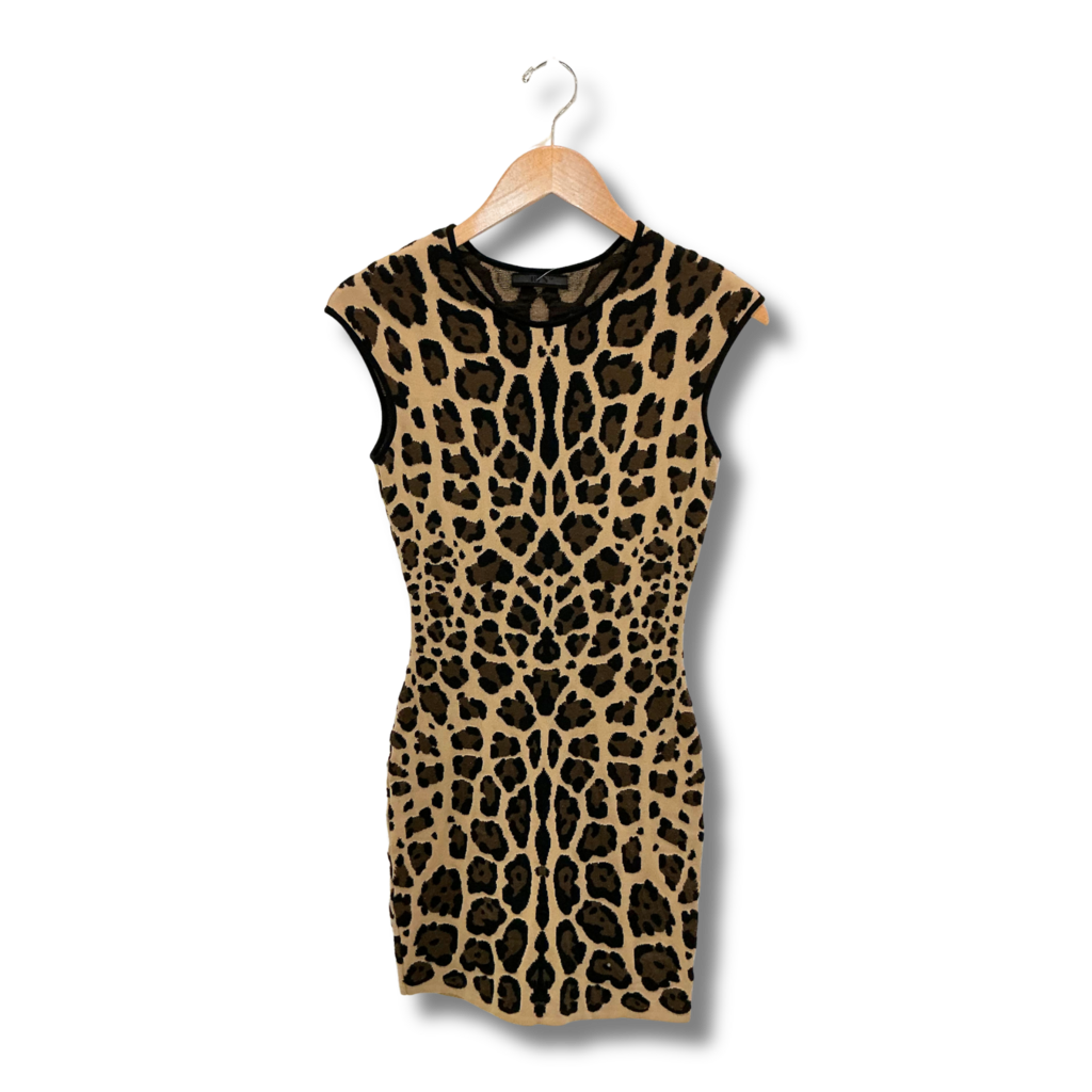 RVN Dress