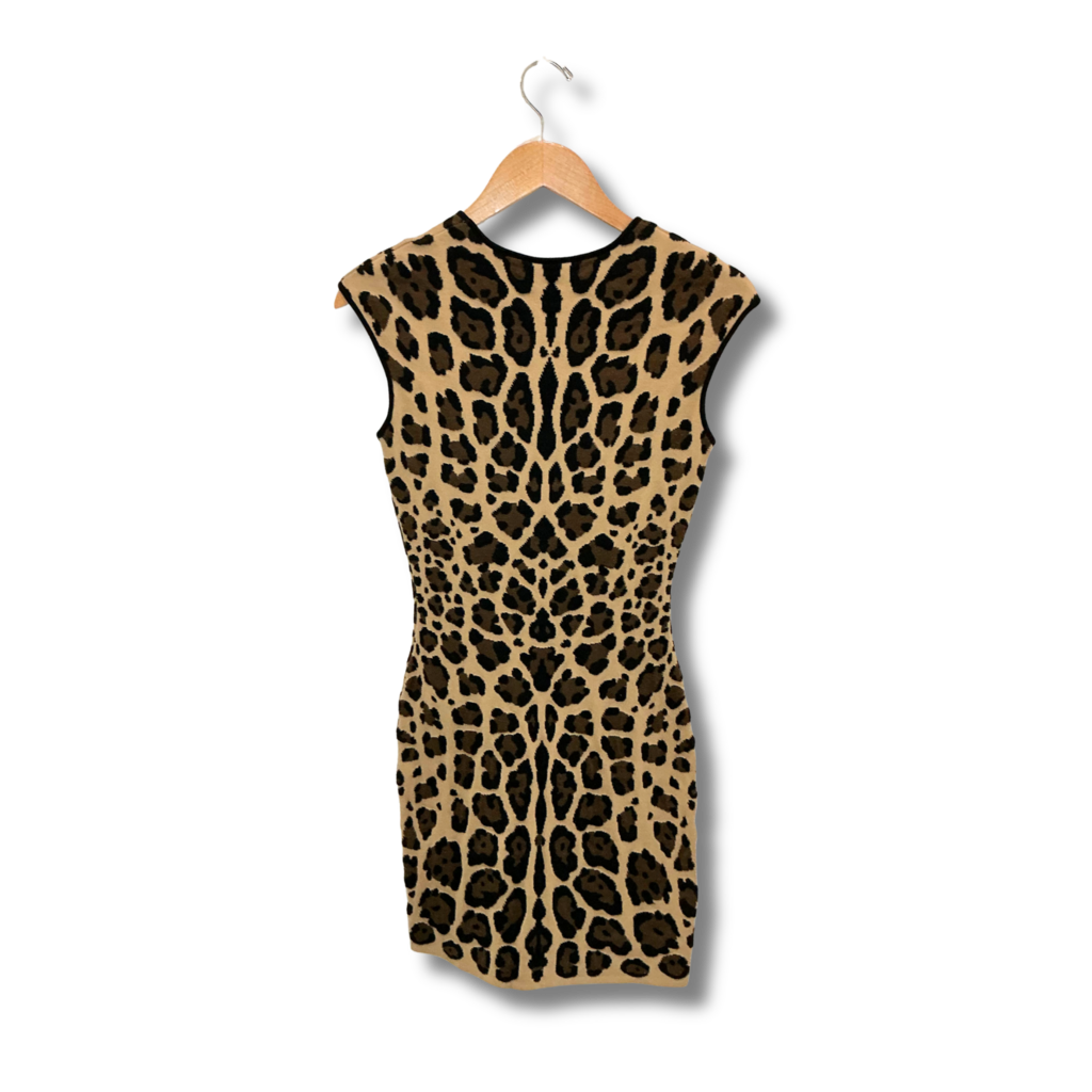 RVN Dress