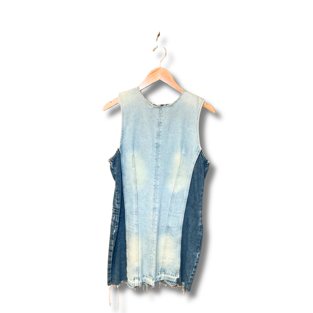 zara Denim dress
