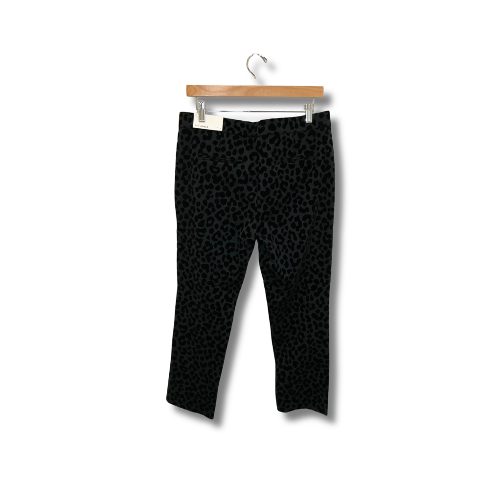 Ann Taylor Pants