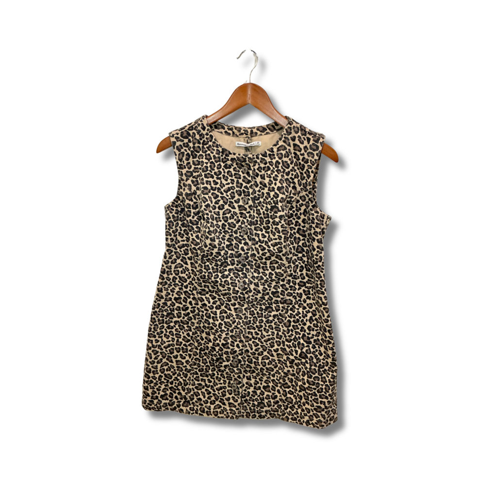 Abercrombie Dress