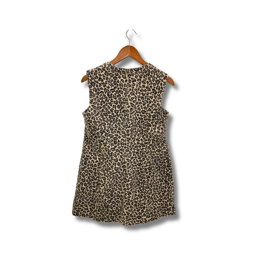 Abercrombie Dress