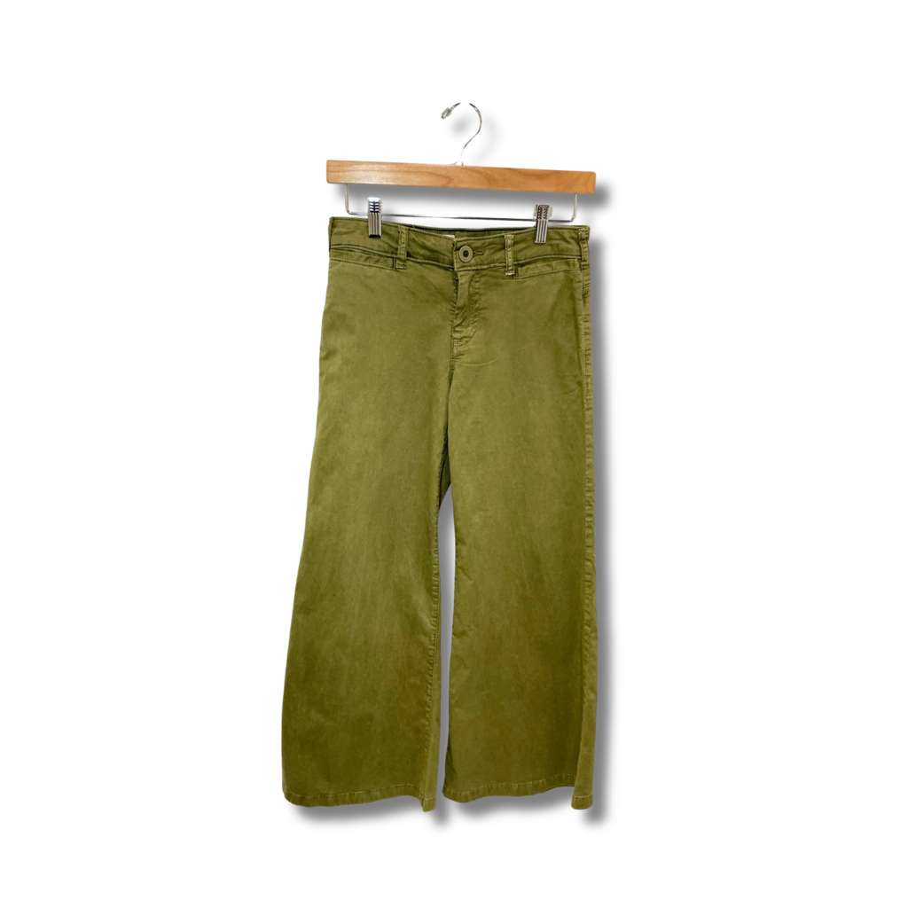 Pilcro Pants