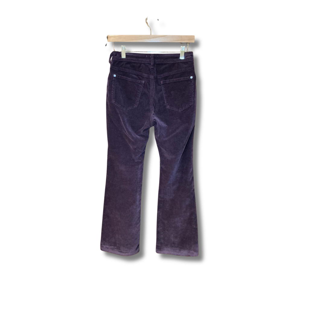 Pilcro Pants