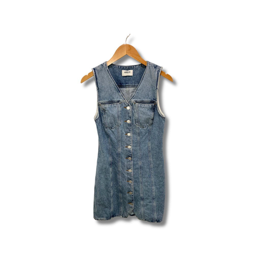 Agolde Dress