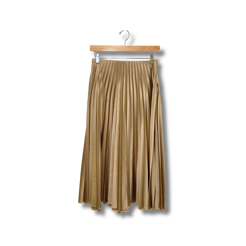 Zara Maxi skirt