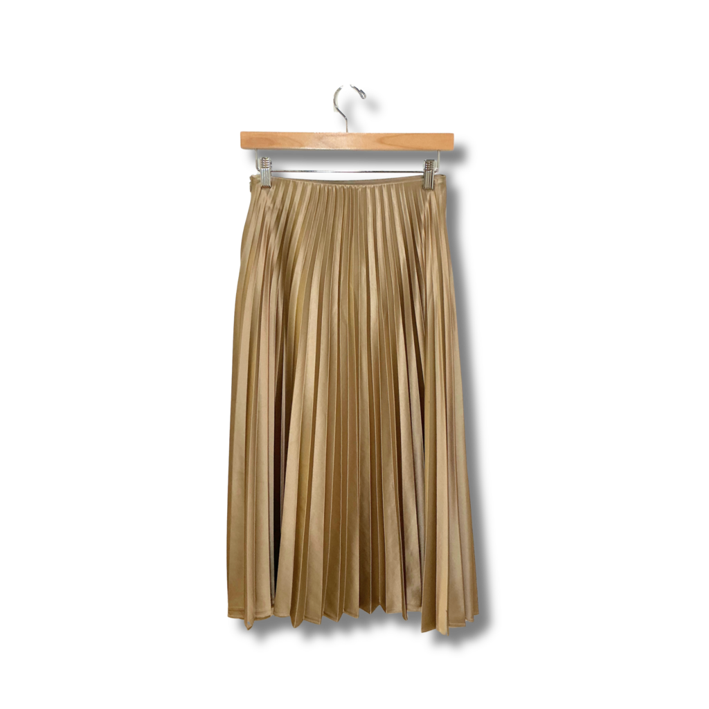 Zara Maxi skirt