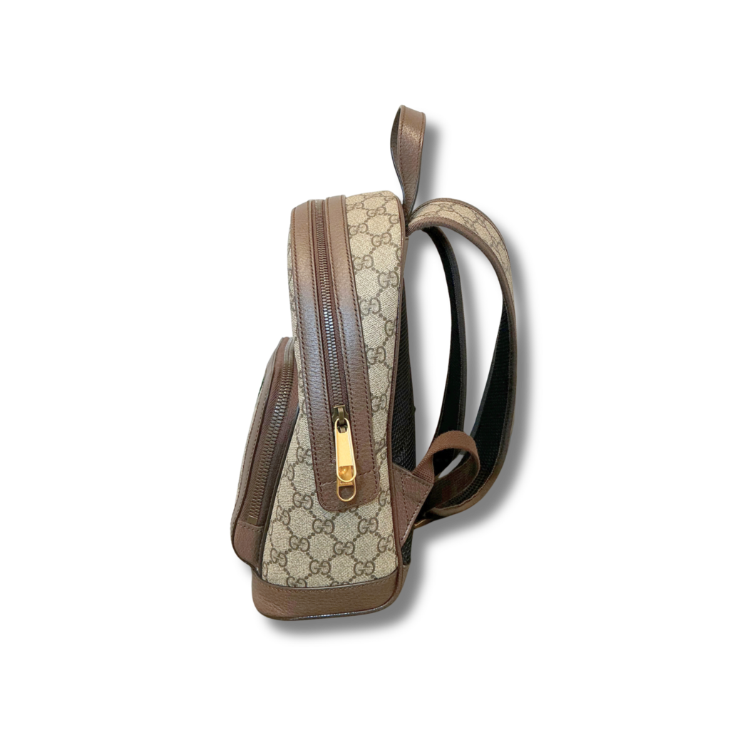 Gucci Ophidia Backpack
